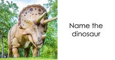 an image of a dinosaur with the words name the dinosaur on it's back