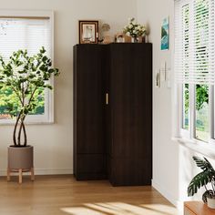 a living room with white walls and wooden floors, a tall cabinet in the corner next to a potted plant