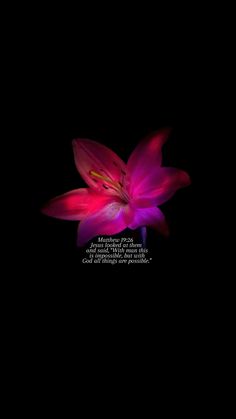 a pink flower with a quote on it in the middle of a black background that says,