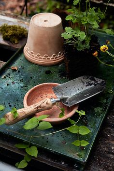 a garden tool sitting on top of a green tray next to flowers and potted plants