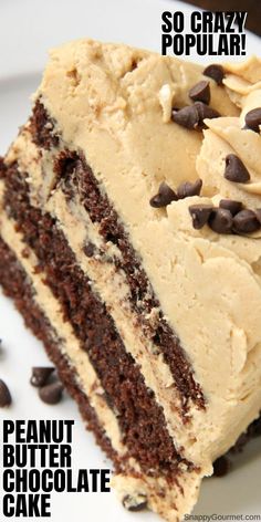 a close up of a slice of cake on a plate with chocolate chips and peanut butter