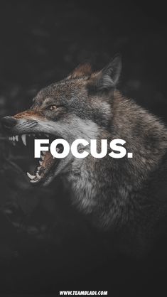 a wolf with its mouth open and the words focus on it