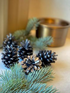 some pine cones are sitting on a table