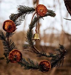 a pine tree with some bells hanging from it's branches