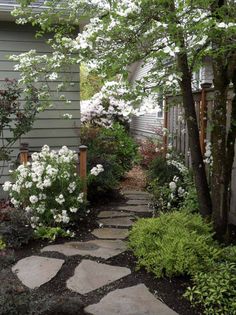 a stone path in front of a house with white flowers on the bushes and trees