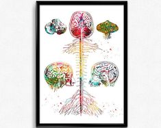 an art print with three different types of brain and nervous systems in watercolor on white paper