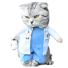 a cat dressed up as a doctor with a stethoscope