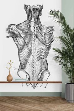 a drawing of the back of a woman's body on a wall next to a potted plant