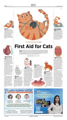 the front page of an article about cats