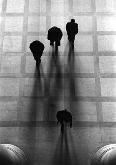 three people walking down a tiled floor with their backs to the camera as they are silhouetted against an elephant's shadow