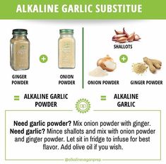 an info sheet describing the benefits of alkaline garlic and how to use it