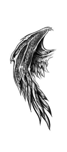 a black and white drawing of an eagle's wing