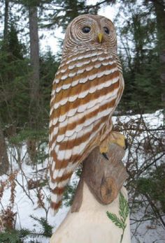 an owl statue sitting on top of a tree stump in the snow with trees behind it