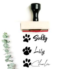 a rubber stamp with the words sulfy lily and paw prints on it next to a green plant