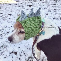 a dog wearing a green knitted hat with horns and spikes on it's head