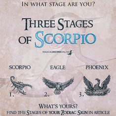 the three stages of scorpio poster with an eagle and two other birds on it