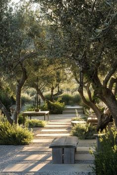 an outdoor area with benches and trees