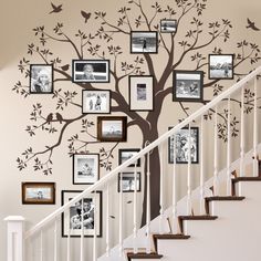 a tree with pictures on it and stairs in front of the bannister wall