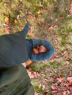 a person wearing a blue hat with strawberries in it's pocket, looking down at leaves on the ground