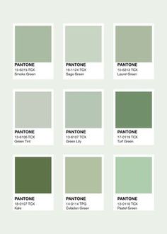 the pantone green color scheme is shown in several different shades, including light green and dark