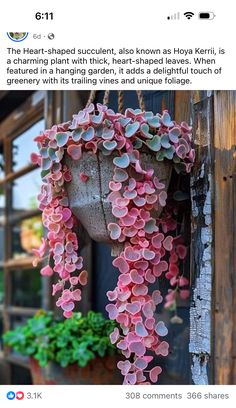 a bunch of pink flowers hanging from a wooden pole next to a potted plant