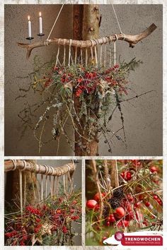 an arrangement of branches, berries and candles hanging from a tree branch with twine needles