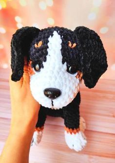 a hand holding a small black and white dog