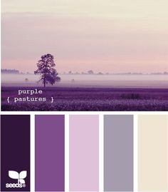 the color palette is purple and has an image of a tree in the distance with fog