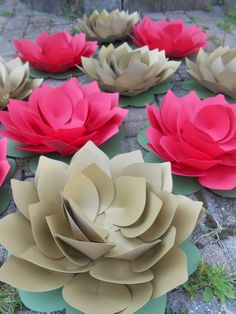 paper flowers are arranged on the ground in a circular arrangement with green leaves and red petals