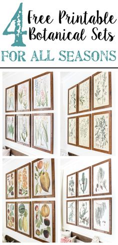 four pictures with the words free printable botanical sets for all seasons written on them