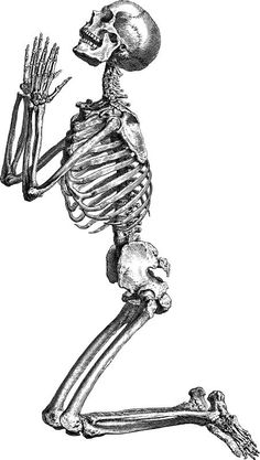 a skeleton is holding up his hand and looking at the ground, vintage line drawing or engraving illustration