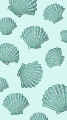 many blue seashells on a light green background are arranged in the same pattern