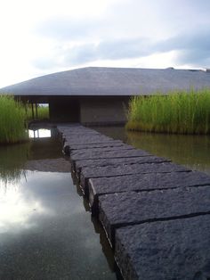 there is a walkway made out of rocks in the water and grass on either side