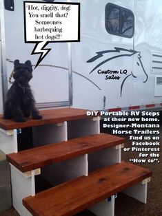 a black dog sitting on top of some wooden steps next to a white horse trailer