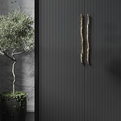 a potted plant next to a black door with vertical slats on the side