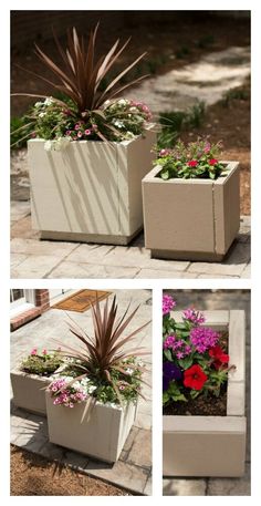 four different pictures of plants in cement containers on the ground, with one planter filled with flowers