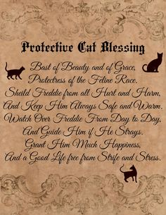 Cat Blessing, Feline Goddess, Blessing Spell, Cat Familiar, Book Of Shadows Pages, Wiccan Witch