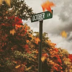 a green street sign sitting on the side of a road next to trees with leaves blowing in the wind