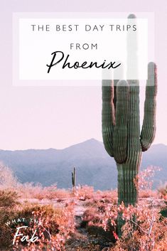 the best day trips from phoenis in arizona, with text overlaying it