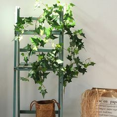 a potted plant sitting on top of a shelf next to a basket