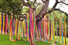 there are many colorful streamers hanging from the trees