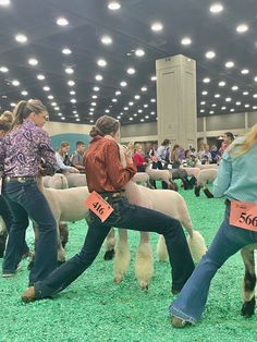 two women are holding sheep in their hands while others stand around with signs on them