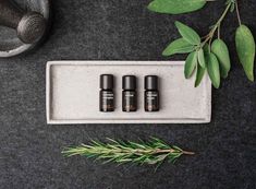 three bottles of essential oils sit on a tray next to some leaves and a sprig of rosemary