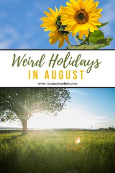 sunflowers with the words weird holidays in august on it and an image of a tree