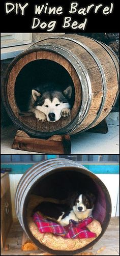 there is a dog that is laying down in a wine barrel with the words diy wine barrel dog bed on it