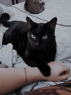 a black cat laying on top of a bed next to a woman's arm