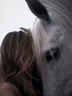 a close up of a person kissing a horse