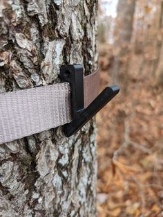 a hook is attached to a tree in the woods