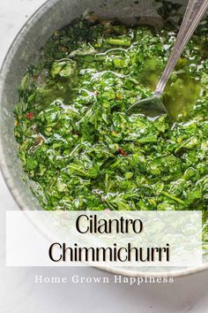 a bowl filled with green food and a spoon in the bowl that says cilantro chimicchuri home grown happiness