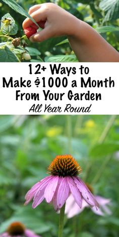 a hand holding a flower with the words, 12 ways to make $ 10 00 a month from your garden all year round